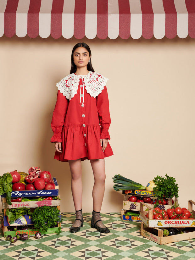 Pomegranate Collar Mini Dress