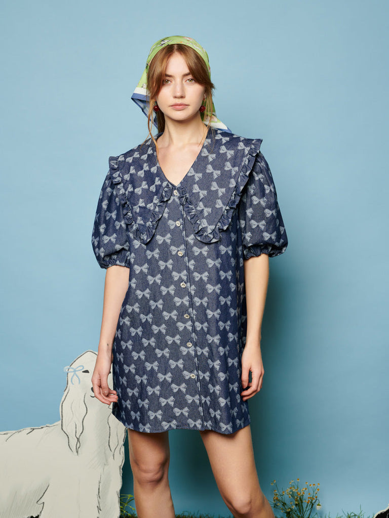 Ziggy Denim Mini Dress – Sister Jane