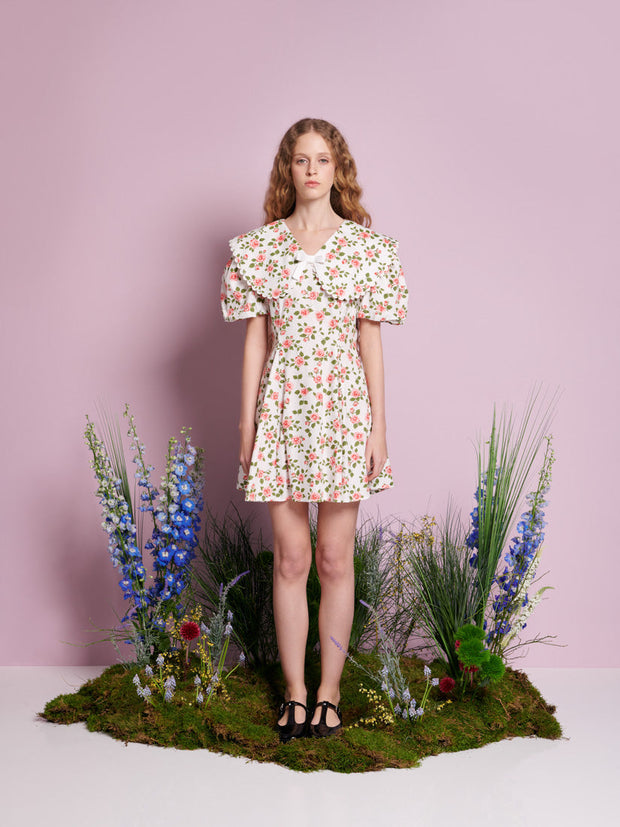 Wild Rose Mini Dress