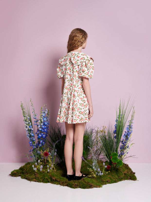 Wild Rose Mini Dress Rose & White / Z