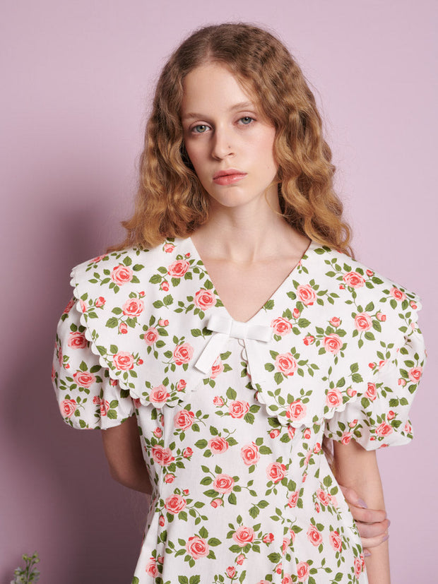 Wild Rose Mini Dress Rose & White / Z