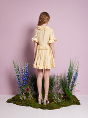 Buttercup Ruffle Mini Dress Pastel Yellow / Z