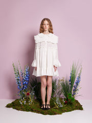 Sweet Pea Collar Mini Dress