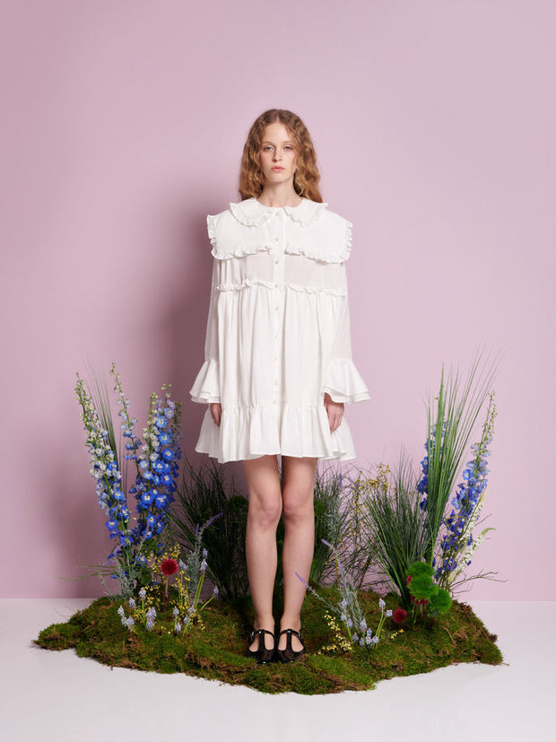 Sweet Pea Collar Mini Dress