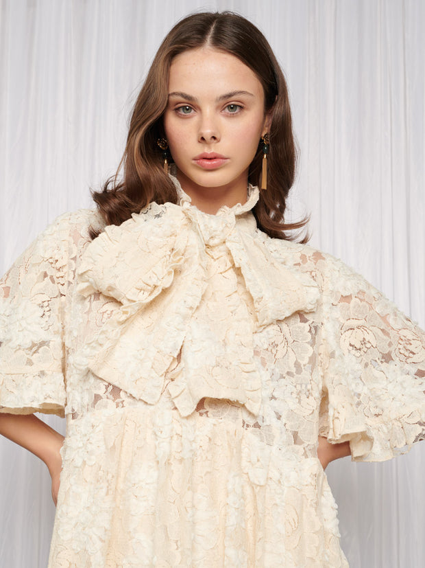 Romance Lace Mini Dress