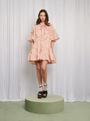 Frou Frou Mini Dress
