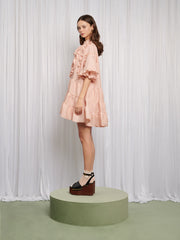 Frou Frou Mini Dress