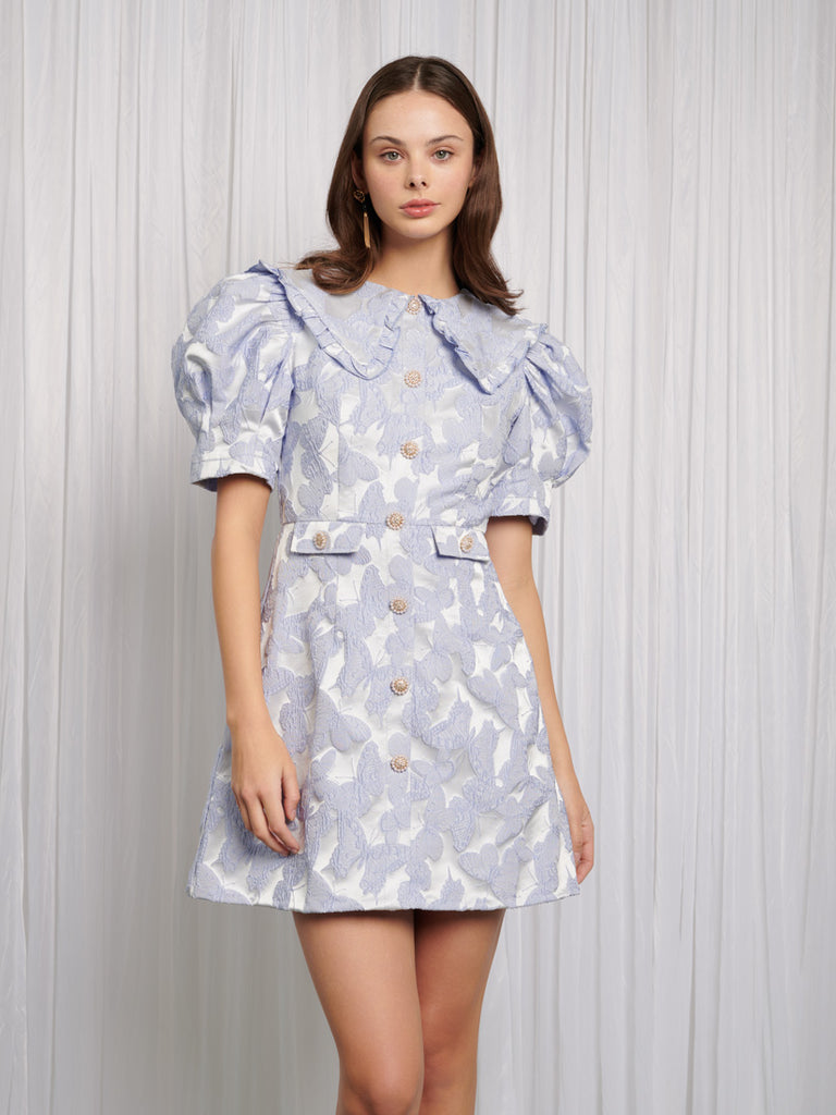 Lacewing Mini Dress – Sister Jane
