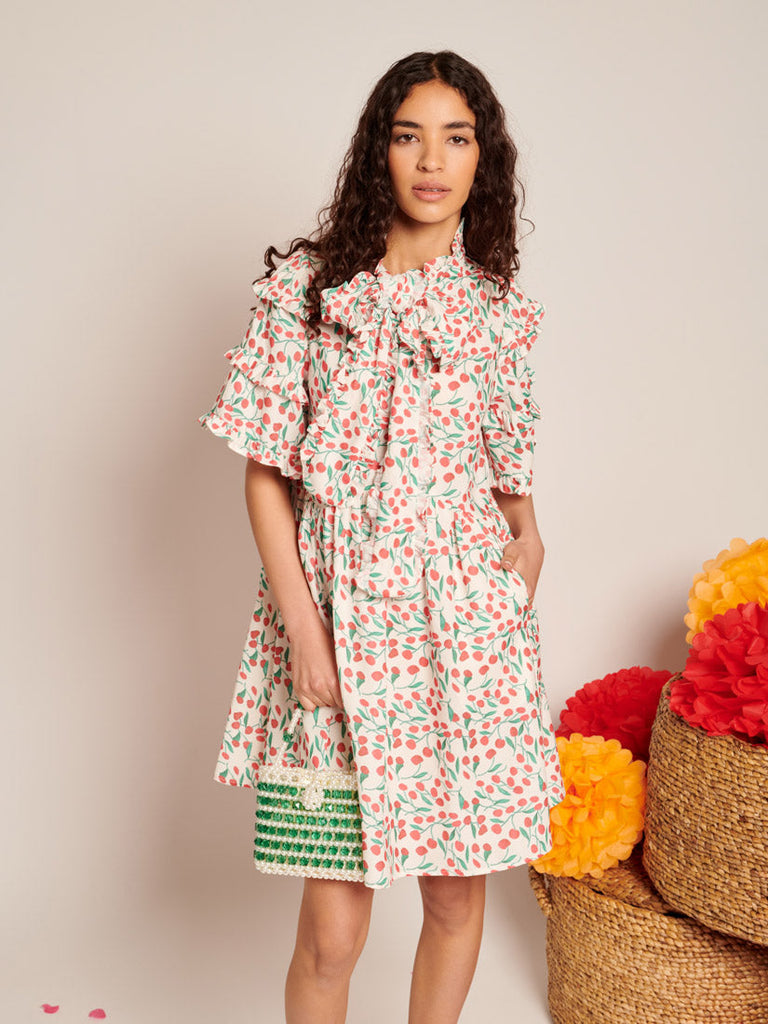 Cerise Mini Print Dress