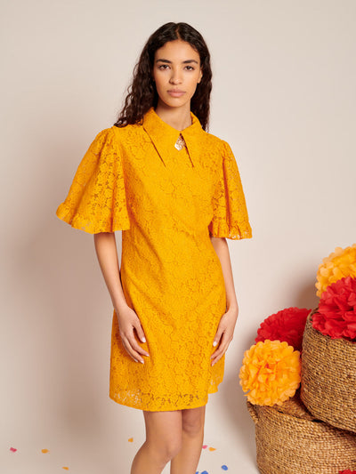 Fuego Lace Mini Dress Celosia Orange / Z