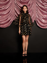 Swing Spot Organza Mini Dress