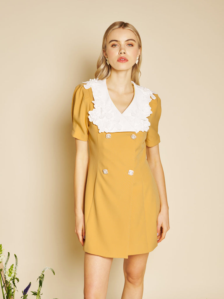 The Garden Atelier Jewel Canvas Mini Dress