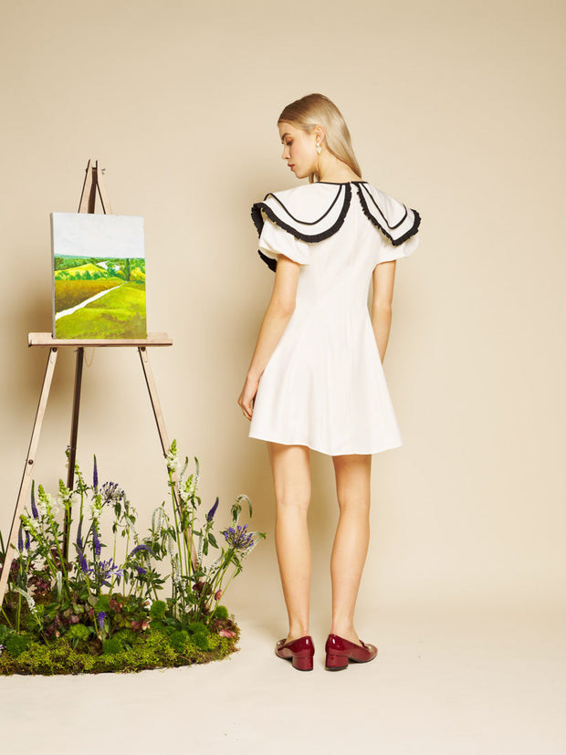 Daffodil Collar Mini Dress – Sister Jane