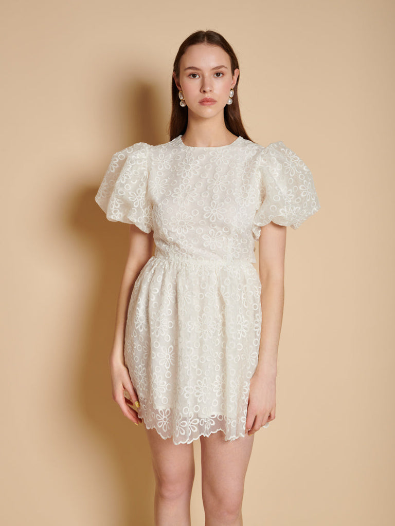 Winnie Embroidered Mini Dress