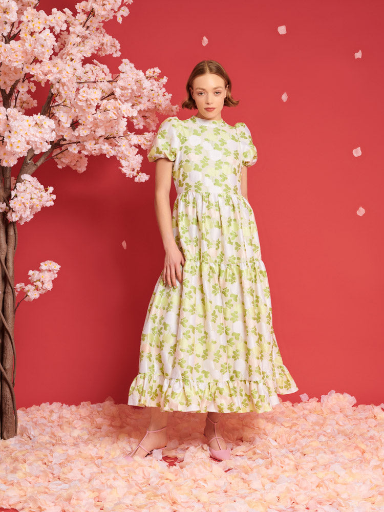 DREAM Picnic Jacquard Maxi Dress – Sister Jane
