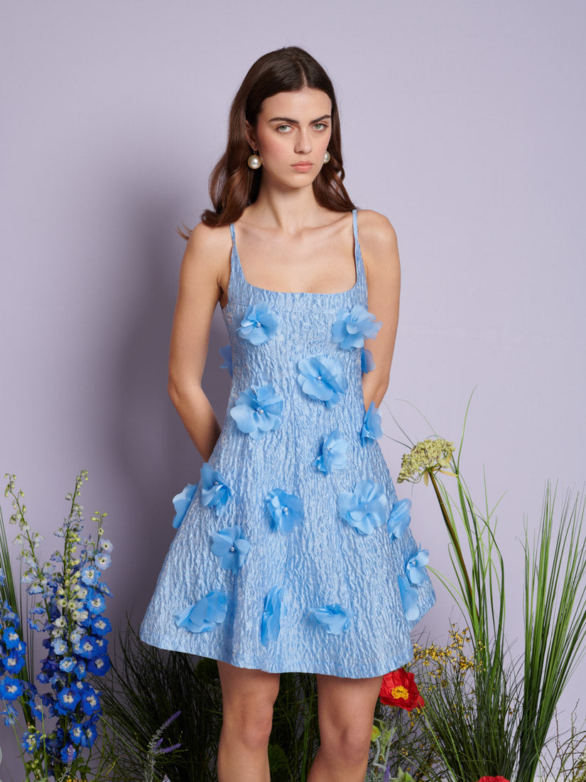 dream sister jane blue dress Sister Jane Dream Jacquard Bow Mini Dress In Powder Blue