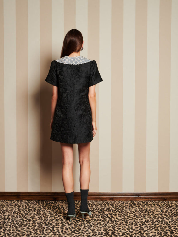 sister jane oversized collar corsage mini dress in black Sister Jane Oversized Collar Velvet Mini Dress