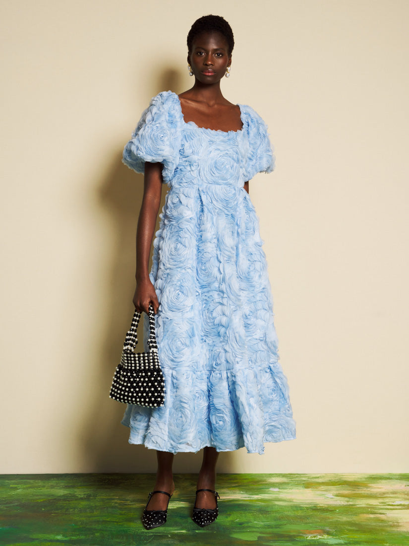 DREAM Dewdrop Tulle Maxi Dress – Sister Jane