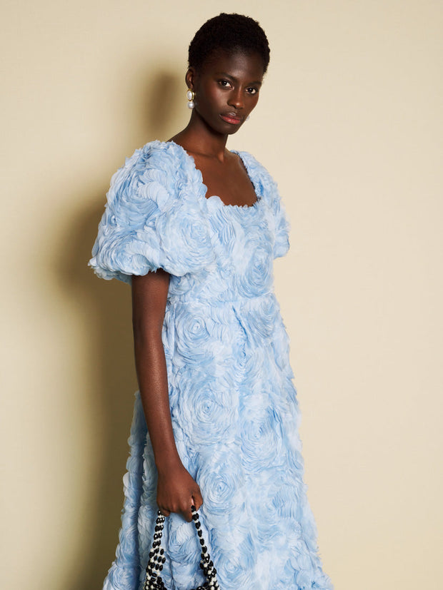 DREAM Dewdrop Tulle Maxi Dress – Sister Jane