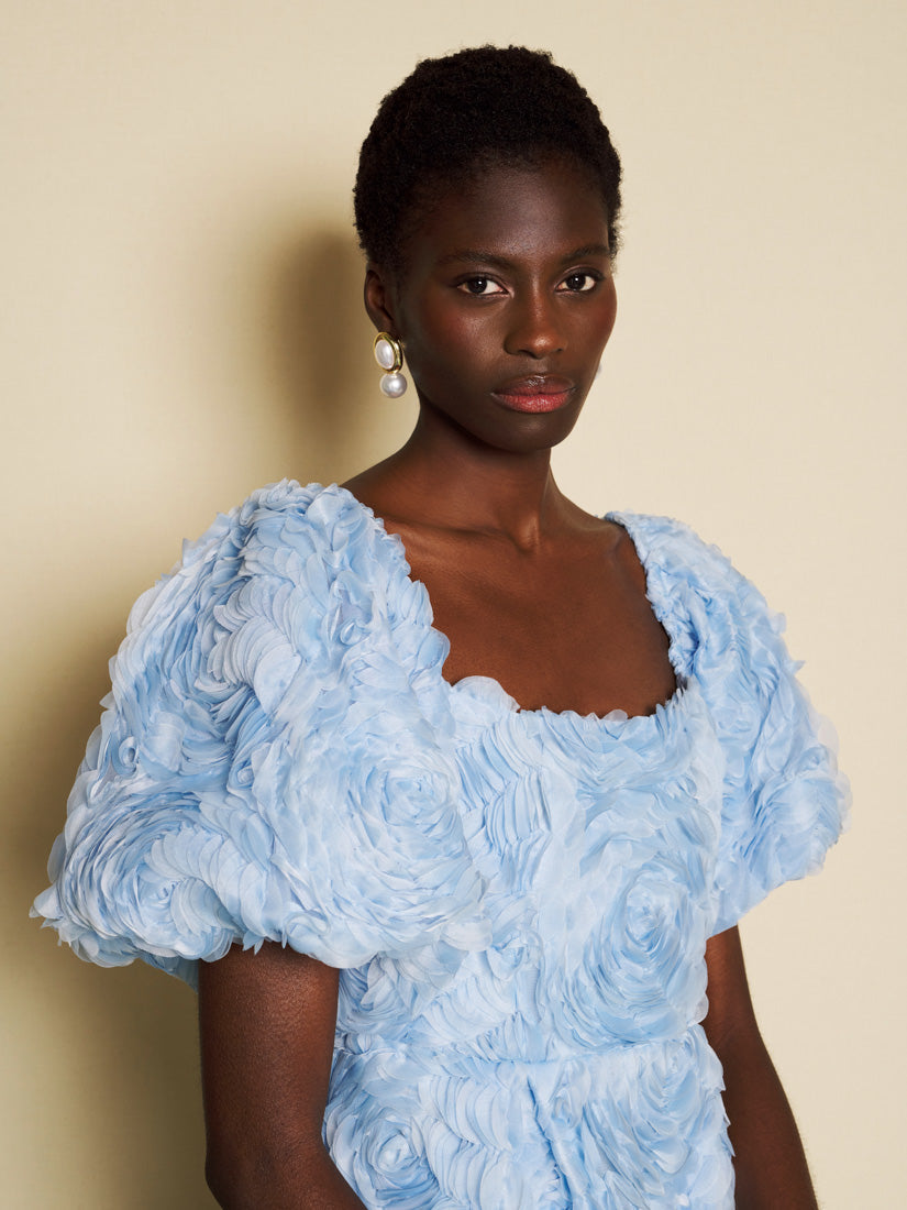 DREAM Dewdrop Tulle Maxi Dress – Sister Jane