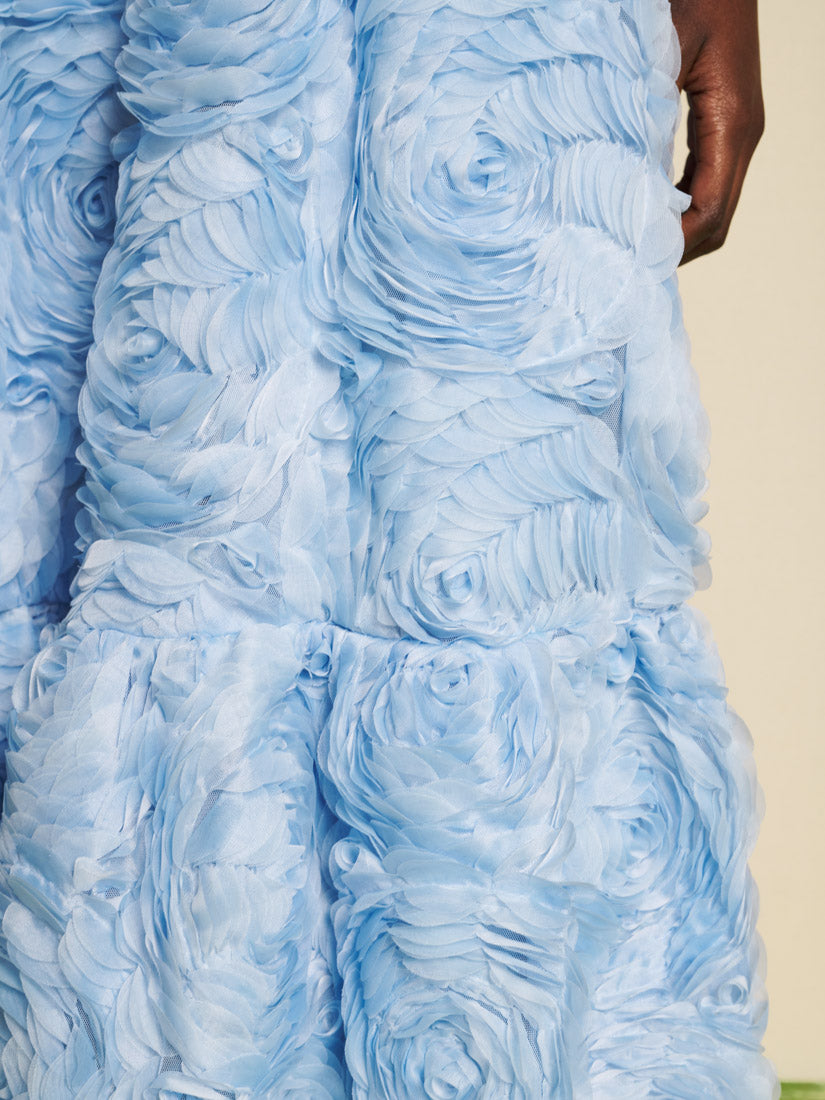 DREAM Dewdrop Tulle Maxi Dress – Sister Jane