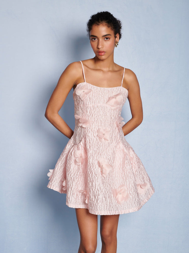 DREAM Lera Applique Mini Dress – Sister Jane