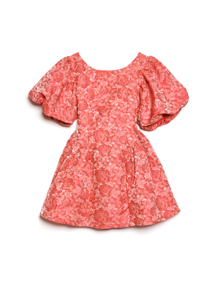 DREAM Amour Jacquard Mini Dress – Sister Jane