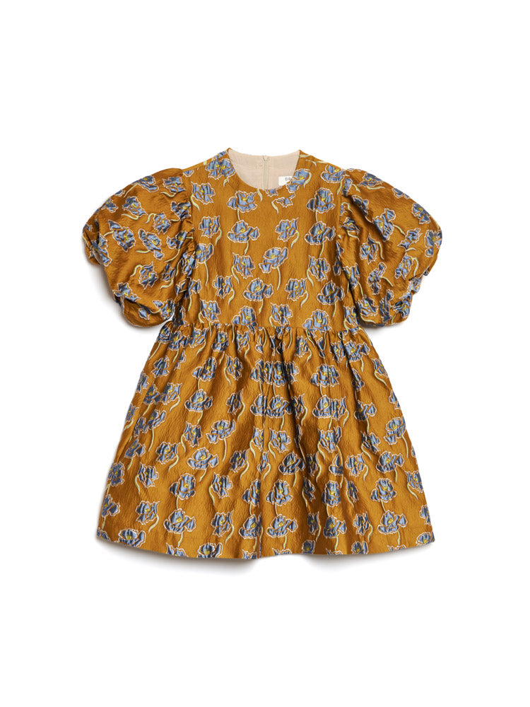 DREAM Honey Jacquard Mini Dress – Sister Jane