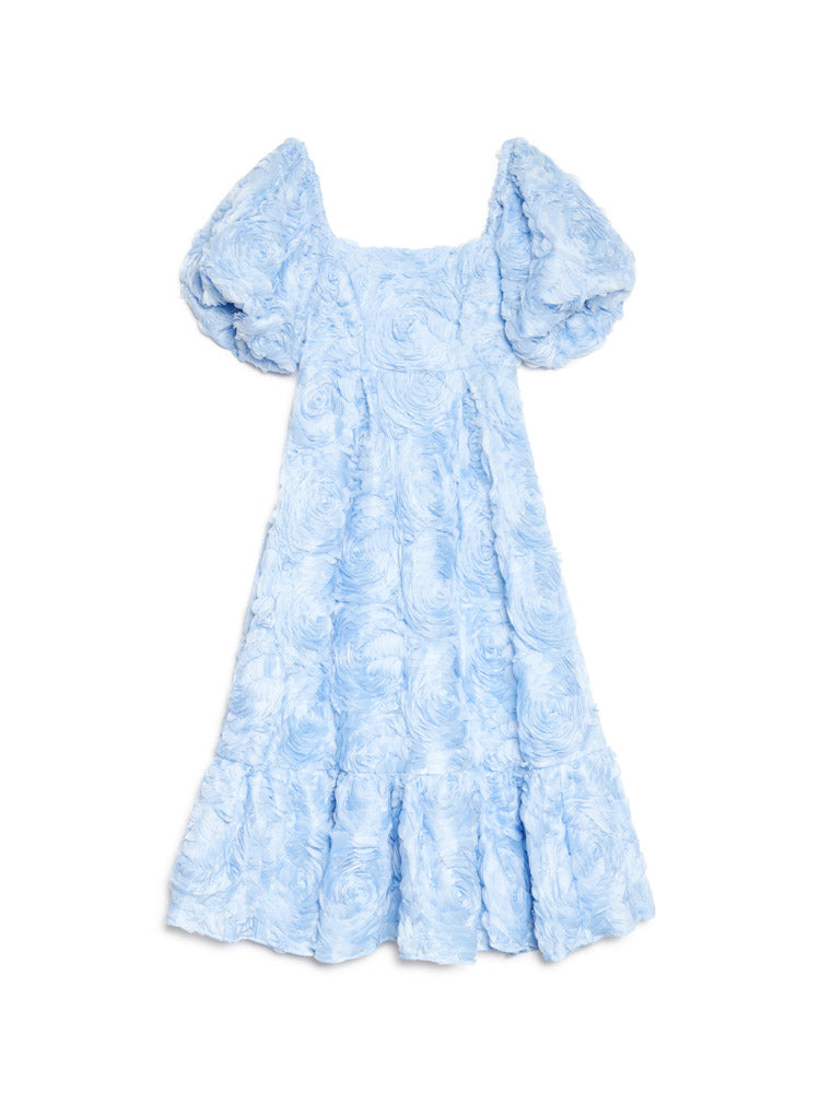 DREAM Dewdrop Tulle Maxi Dress – Sister Jane