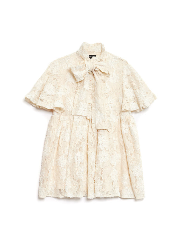 Romance Lace Mini Dress