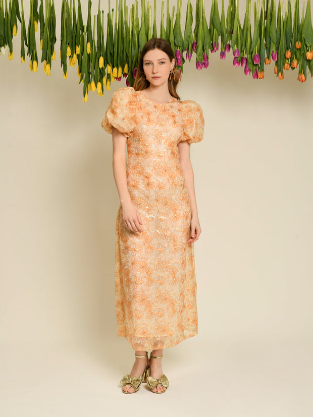 <b>DREAM</b> Garden Sequin Midi Dress
